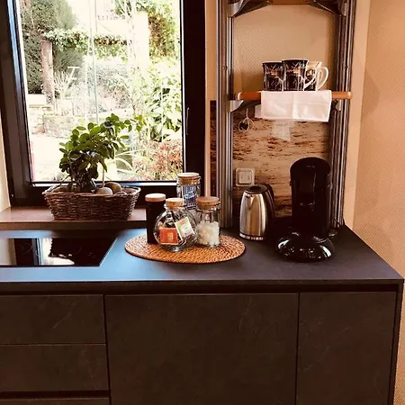 3 Loft Mit Sauna & Garten In Apartmán Ortenberg (Hessen)