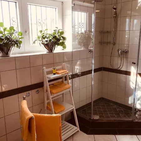 Daire 3 Loft Mit Sauna & Garten In Ortenberg (Hessen)