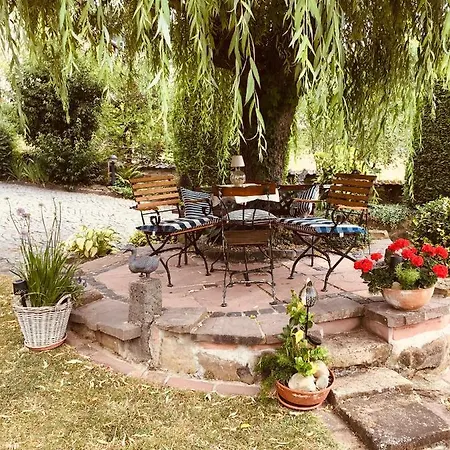 3 Loft Mit Sauna & Garten In Daire *