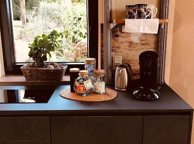 3 Loft Mit Sauna & Garten In Apartman Ortenberg