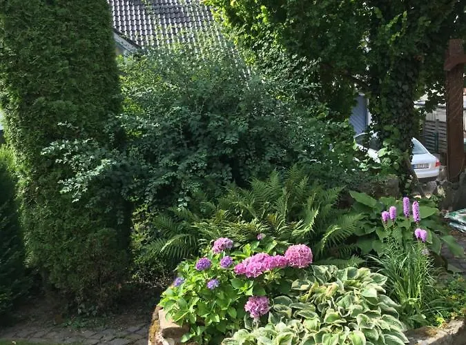 3 Loft Mit Sauna & Garten In Apartman *