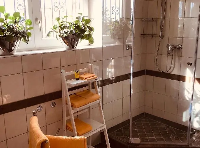 Apartman 3 Loft Mit Sauna & Garten In Ortenberg